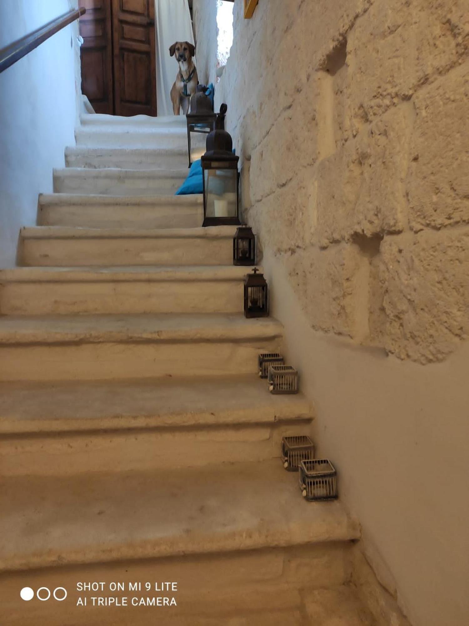 Che Vista!! Ostuni ,Sulle Bianche Mura Con Vista Mozzafiato Exterior photo