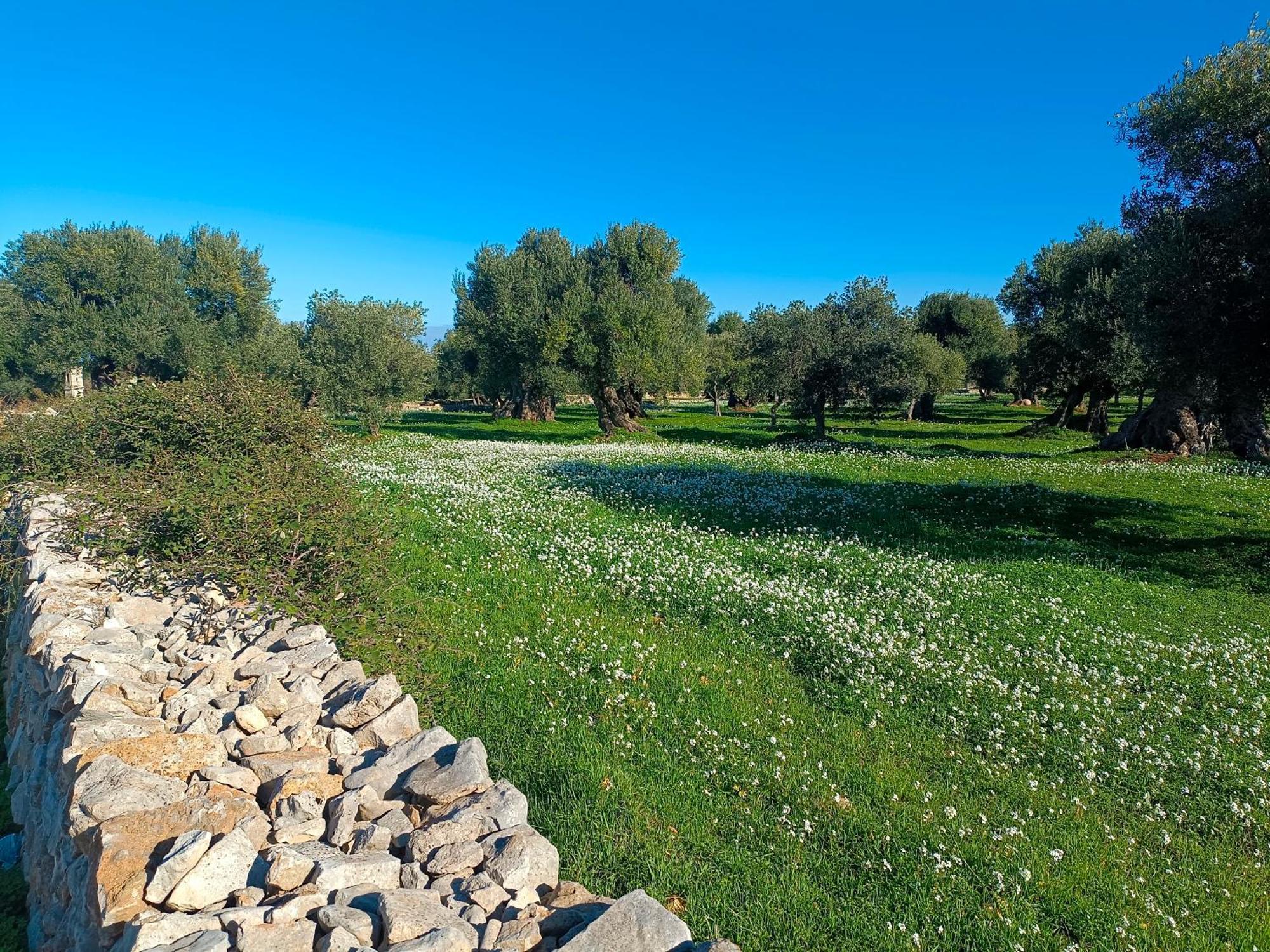 Che Vista!! Ostuni ,Sulle Bianche Mura Con Vista Mozzafiato Exterior photo